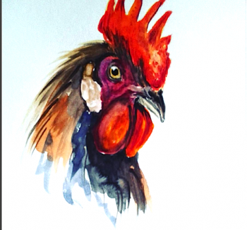 pollo paola